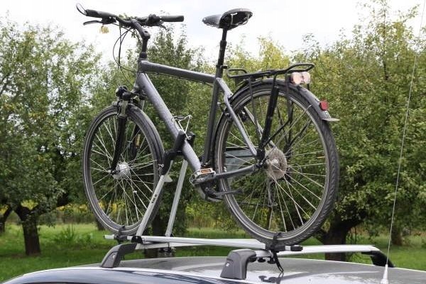 Taurus Bike Up